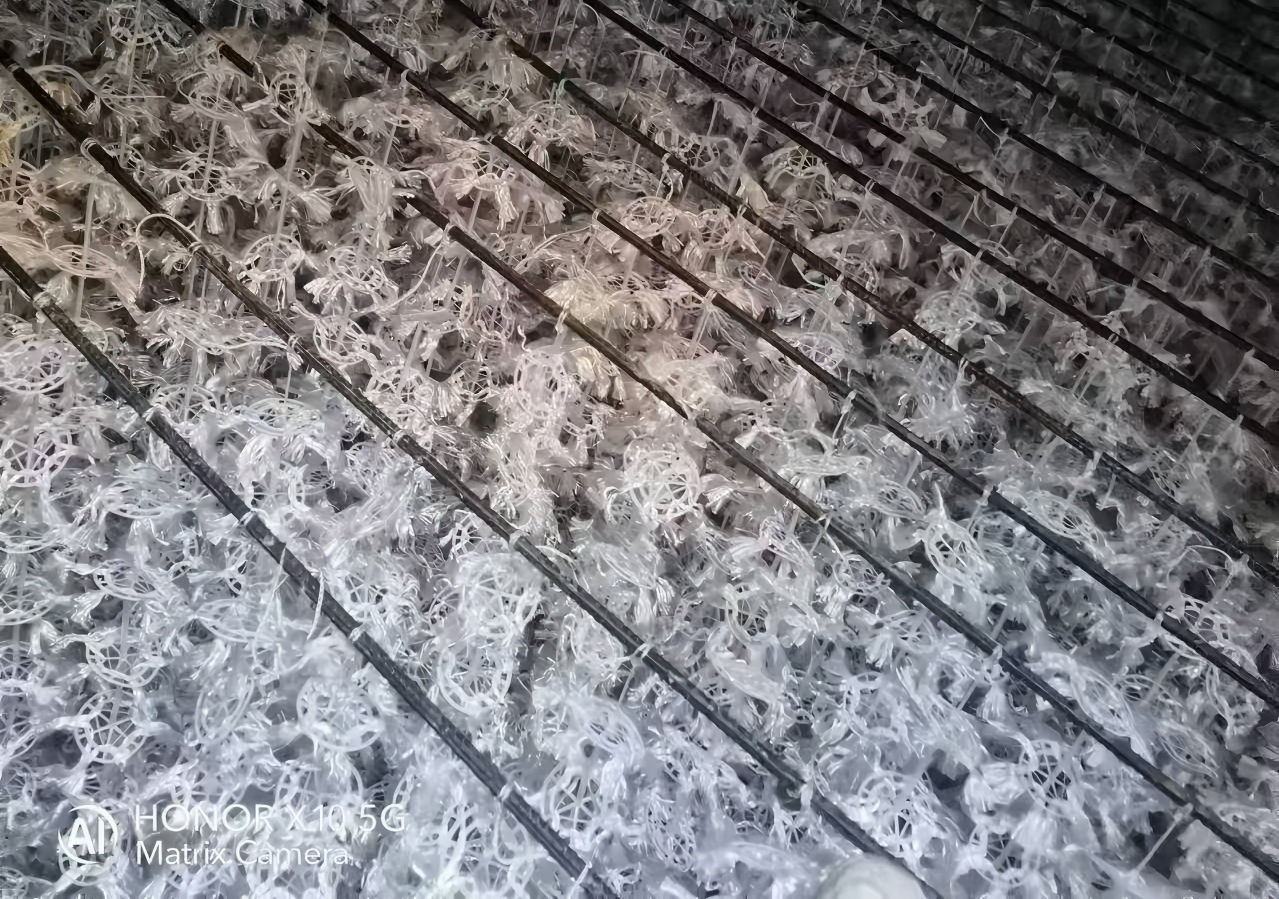 7b7c89c79ab0ff2e458f7259dc38adc8.jpg